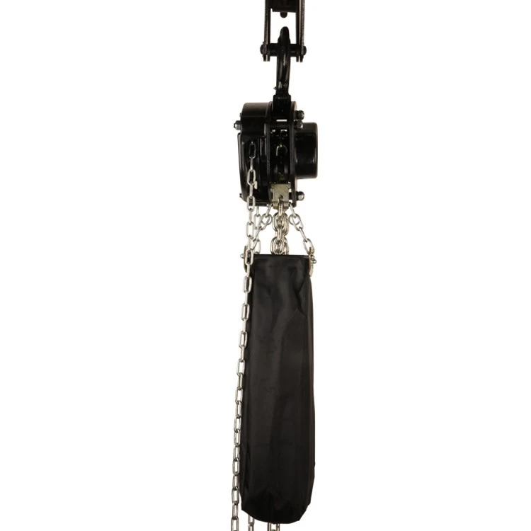 High Quality Manual Stage Hoist factory High Quality Manual Stage Hoist factory